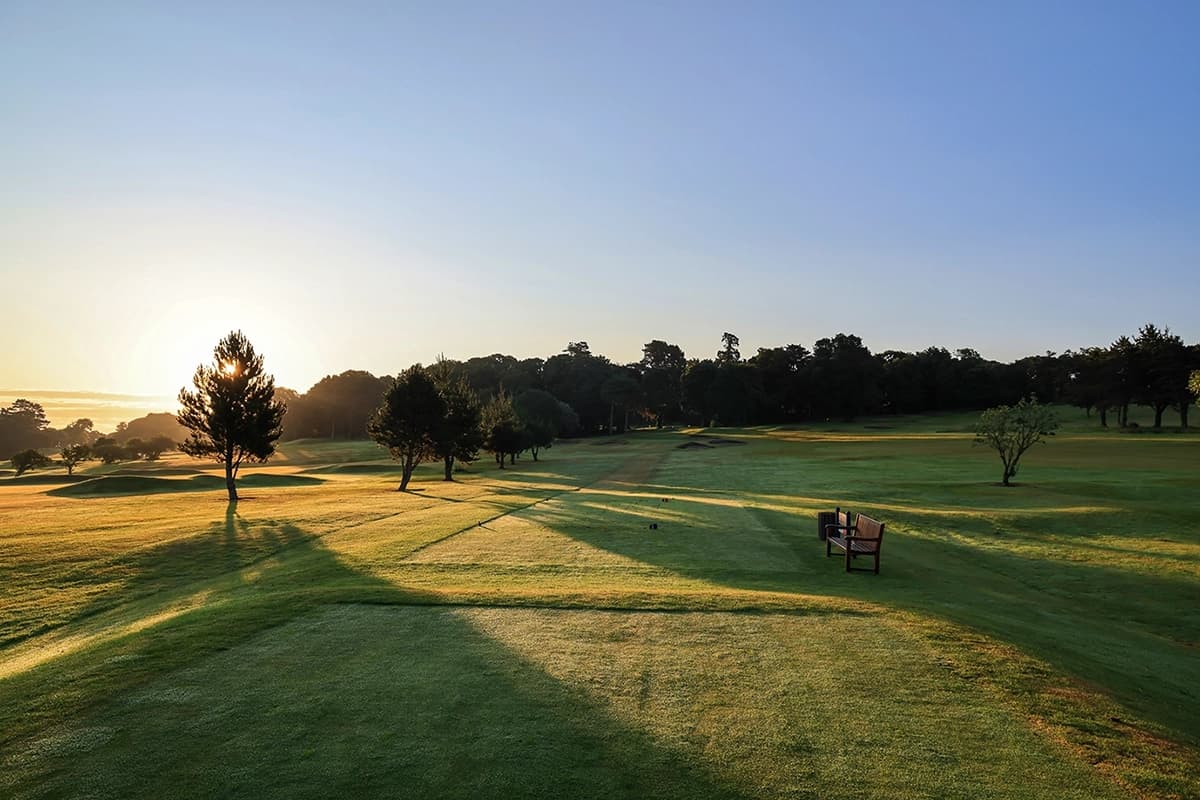 Royal Belfast 14 Tee